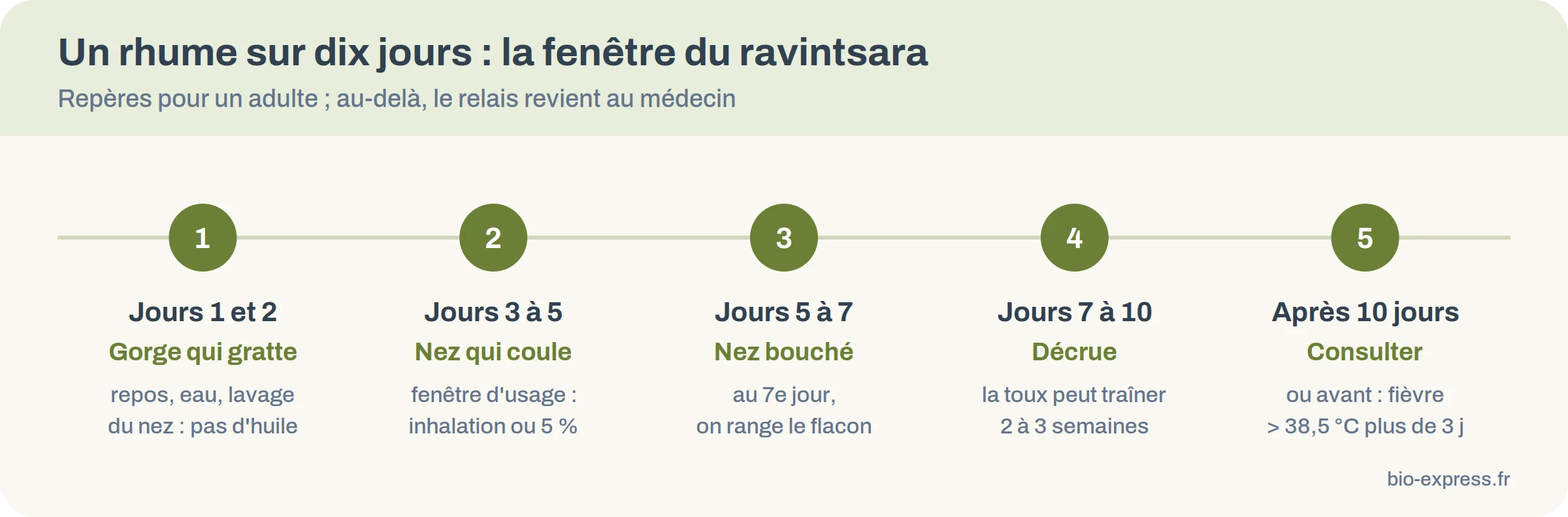 Frise d'un rhume sur dix jours avec la fenêtre d'usage du ravintsara et les signes qui imposent de consulter