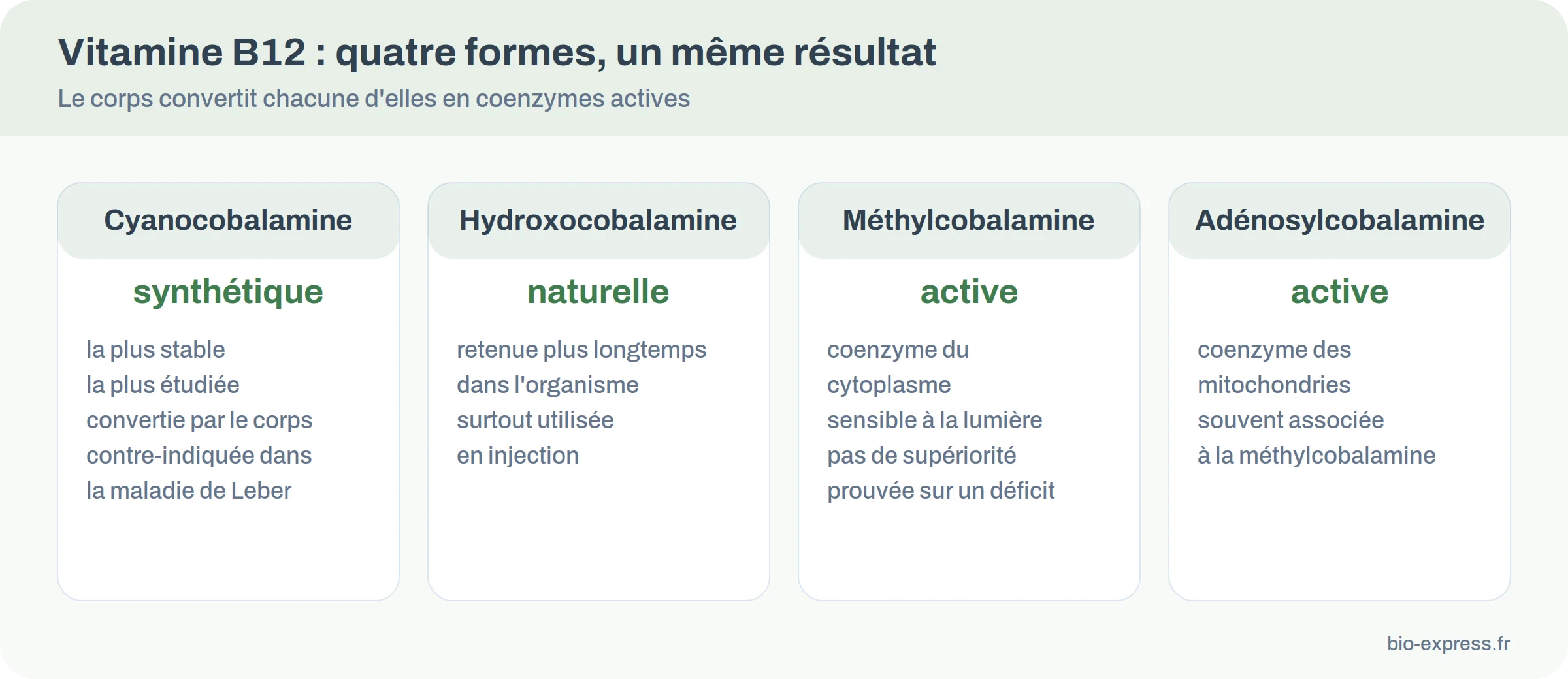 Comparatif des quatre formes de vitamine B12 : cyanocobalamine, hydroxocobalamine, méthylcobalamine, adénosylcobalamine