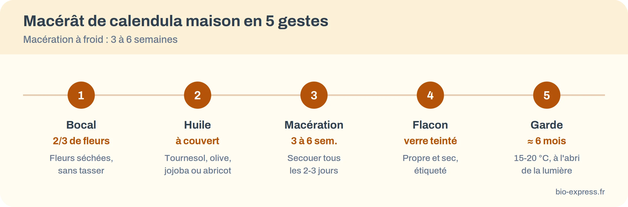Infographie : du bocal au flacon, les étapes du macérât de calendula