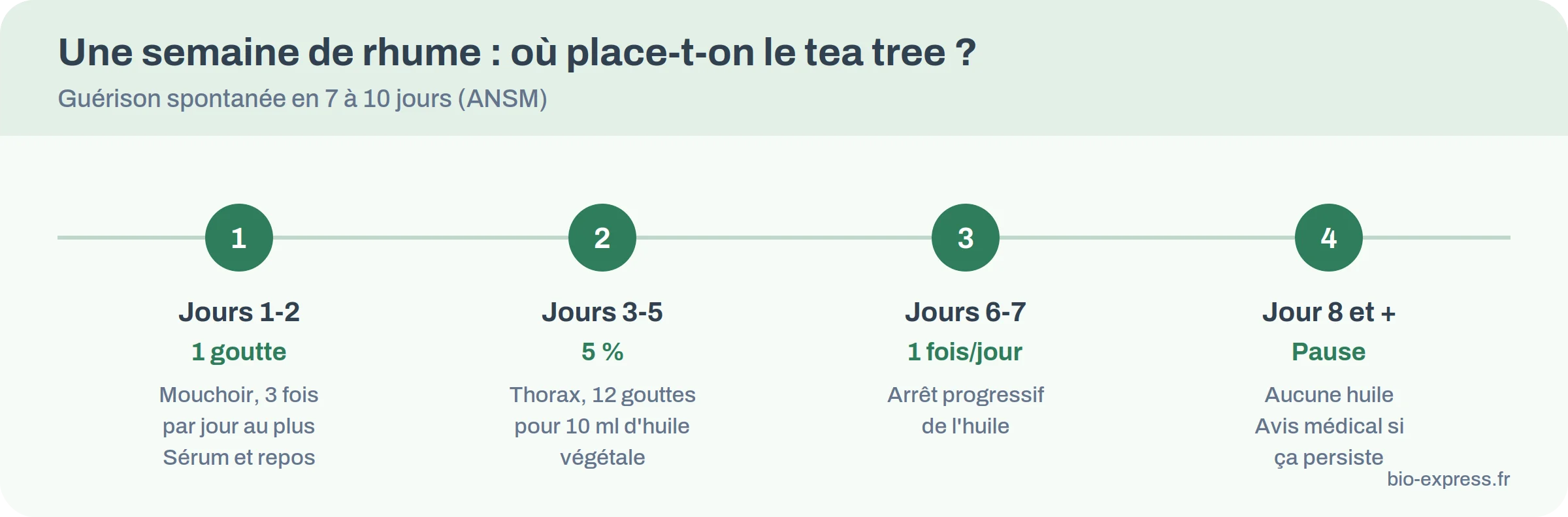 Frise des sept jours d’un rhume avec les gestes de base et la place possible du tea tree
