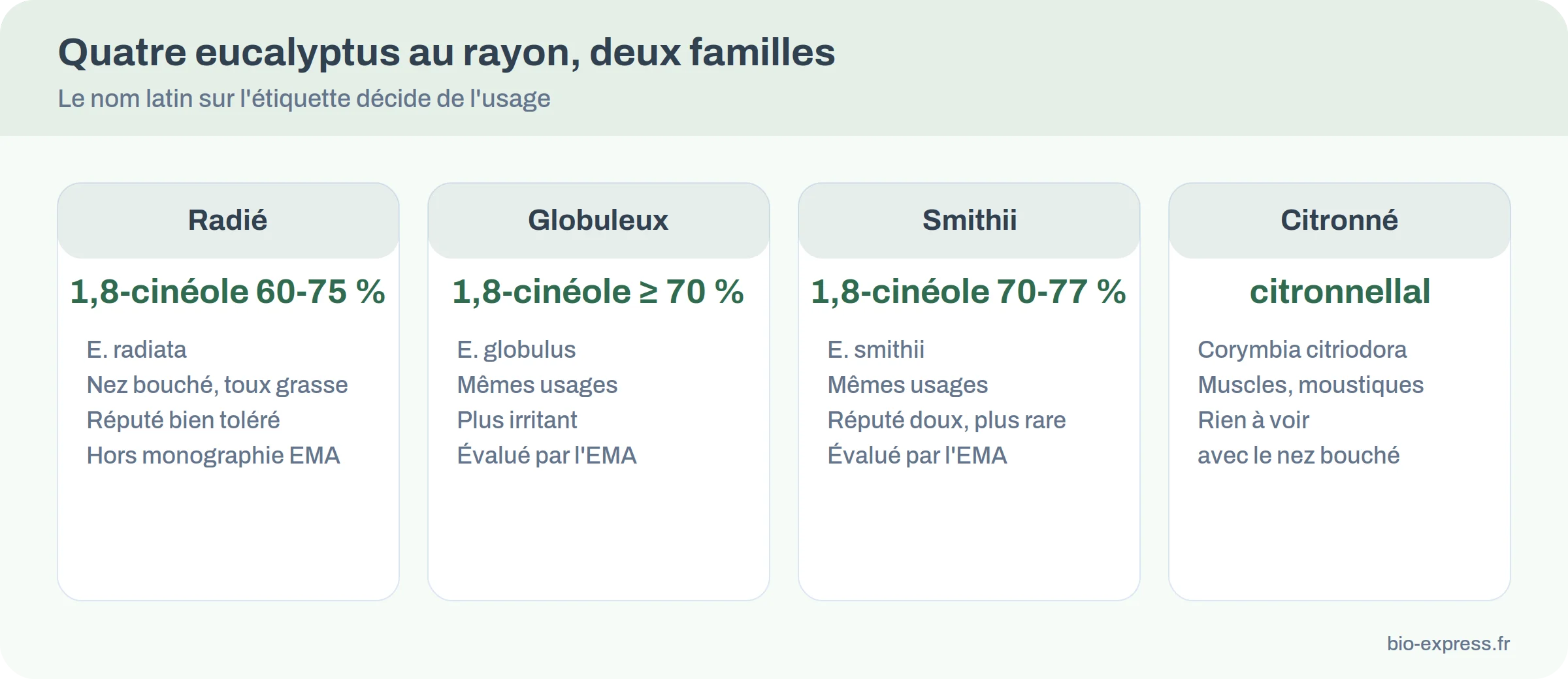 Comparatif de quatre huiles essentielles d'eucalyptus : radié, globuleux, smithii et citronné, avec molécule dominante et usage