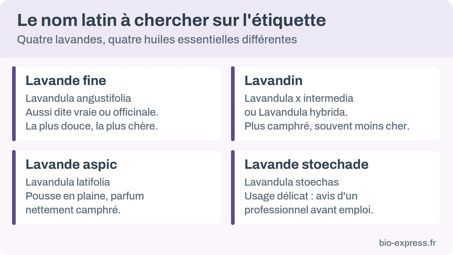 Les quatre noms latins de lavande à chercher sur une étiquette : angustifolia, x intermedia, latifolia et stoechas