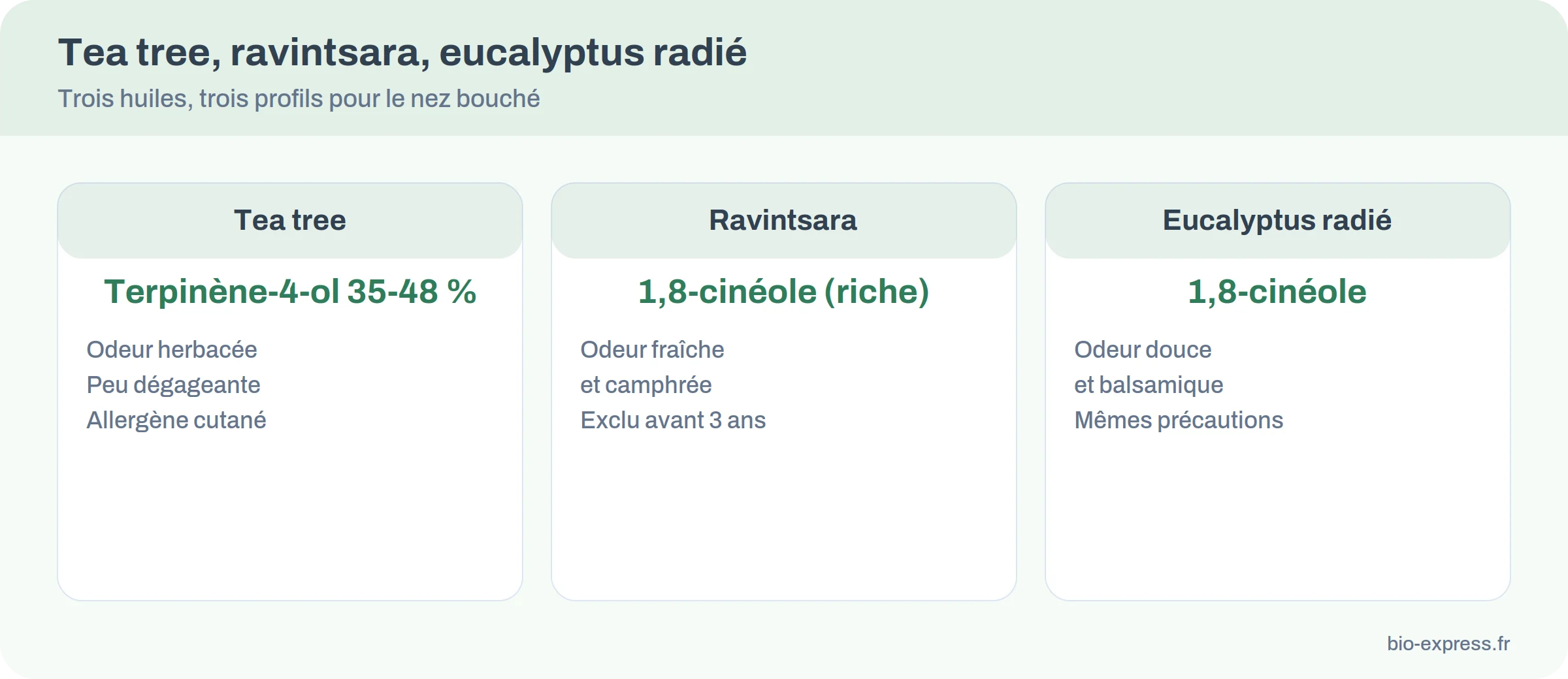 Comparaison du tea tree, du ravintsara et de l’eucalyptus radié pour le nez bouché